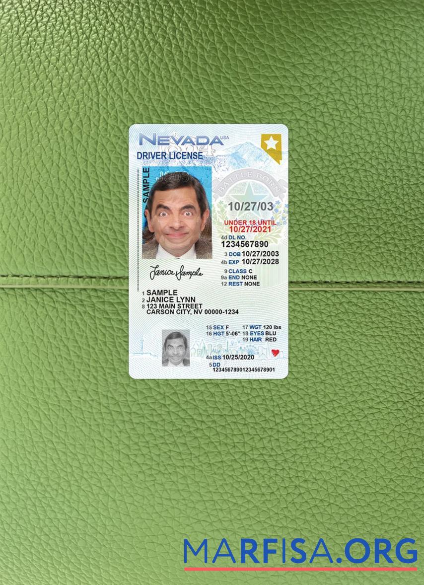 Printable USA Nevada under 21 driving license photolook sample